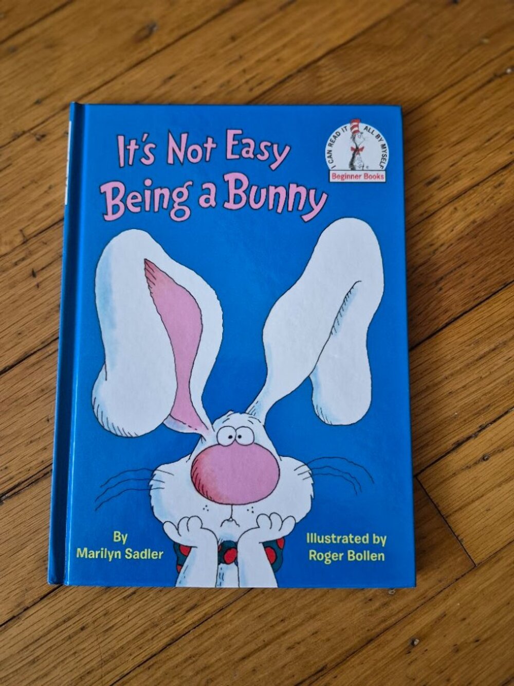 It's Not Easy Being a Bunny Children's Book by Marilyn Sadler